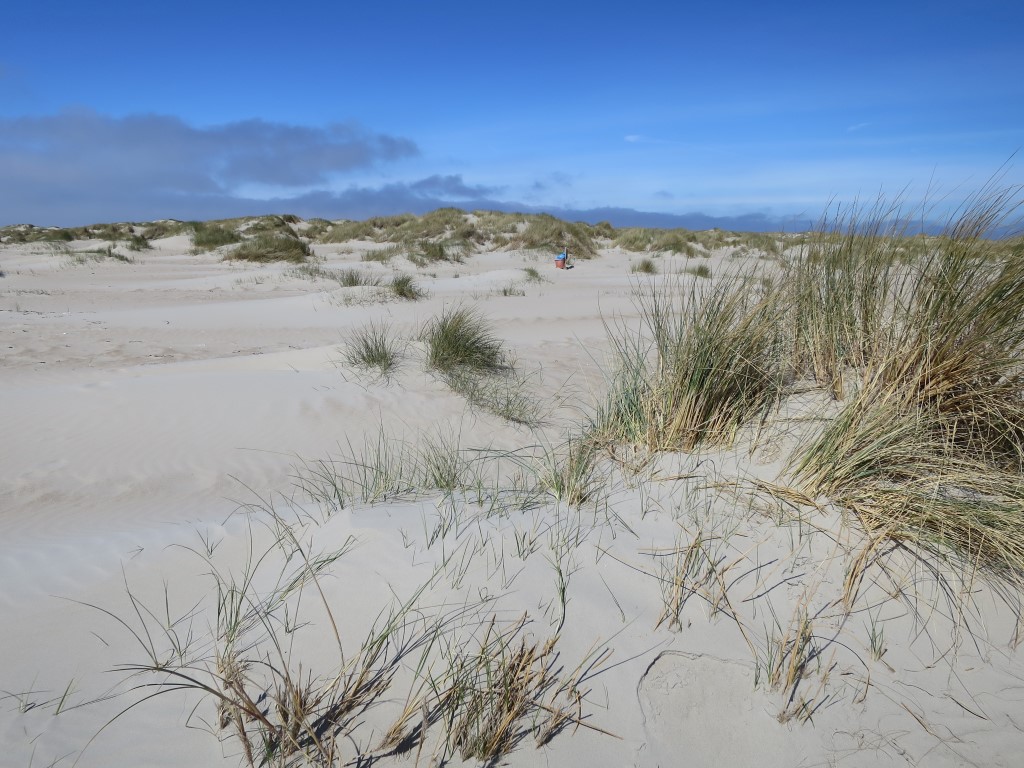 Sandbank De Hors Texel